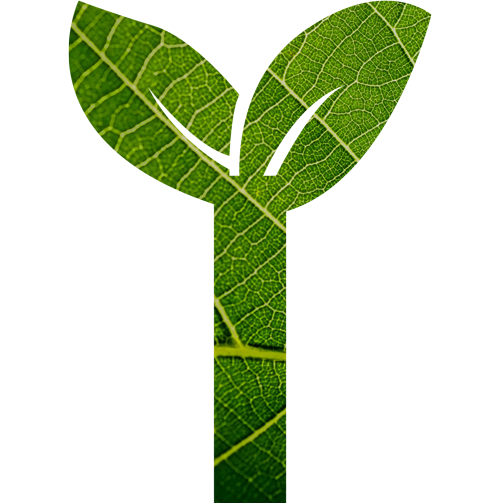 Infinite Power I Symbol Leaf Texture